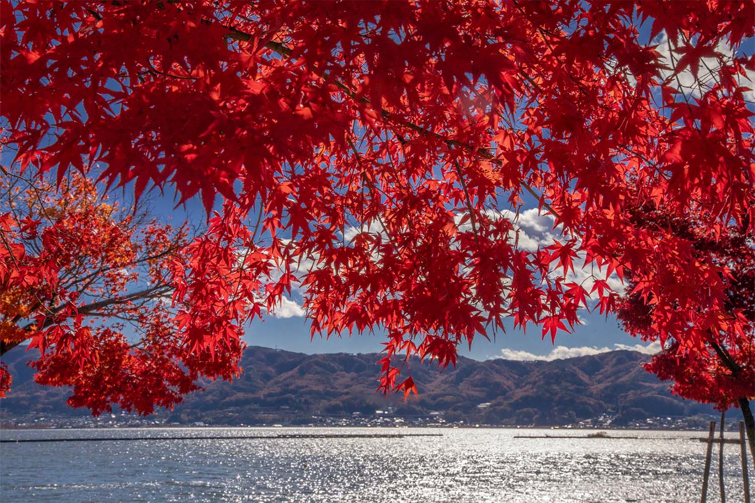 画像 諏訪湖周辺散策