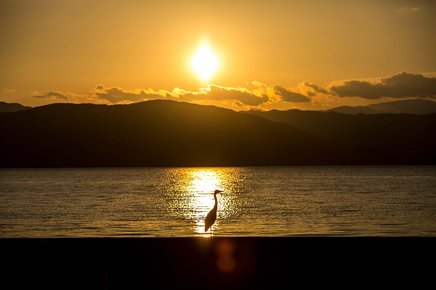 画像 諏訪湖周辺散策