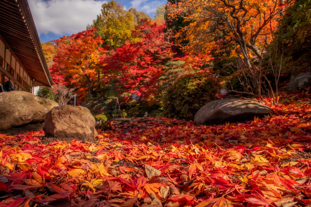 諏訪の紅葉〜 – 寛ぎの諏訪の湯宿 萃sui-諏訪湖【公式HP】露天風呂付き客室